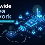 state wide area network