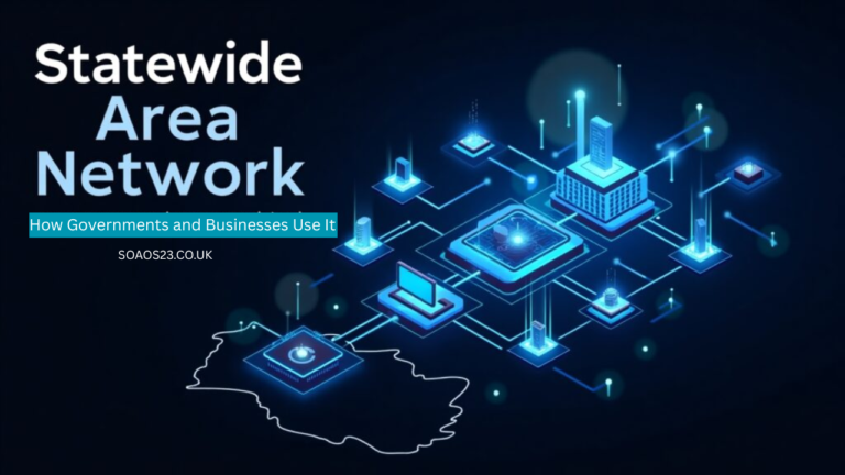 state wide area network